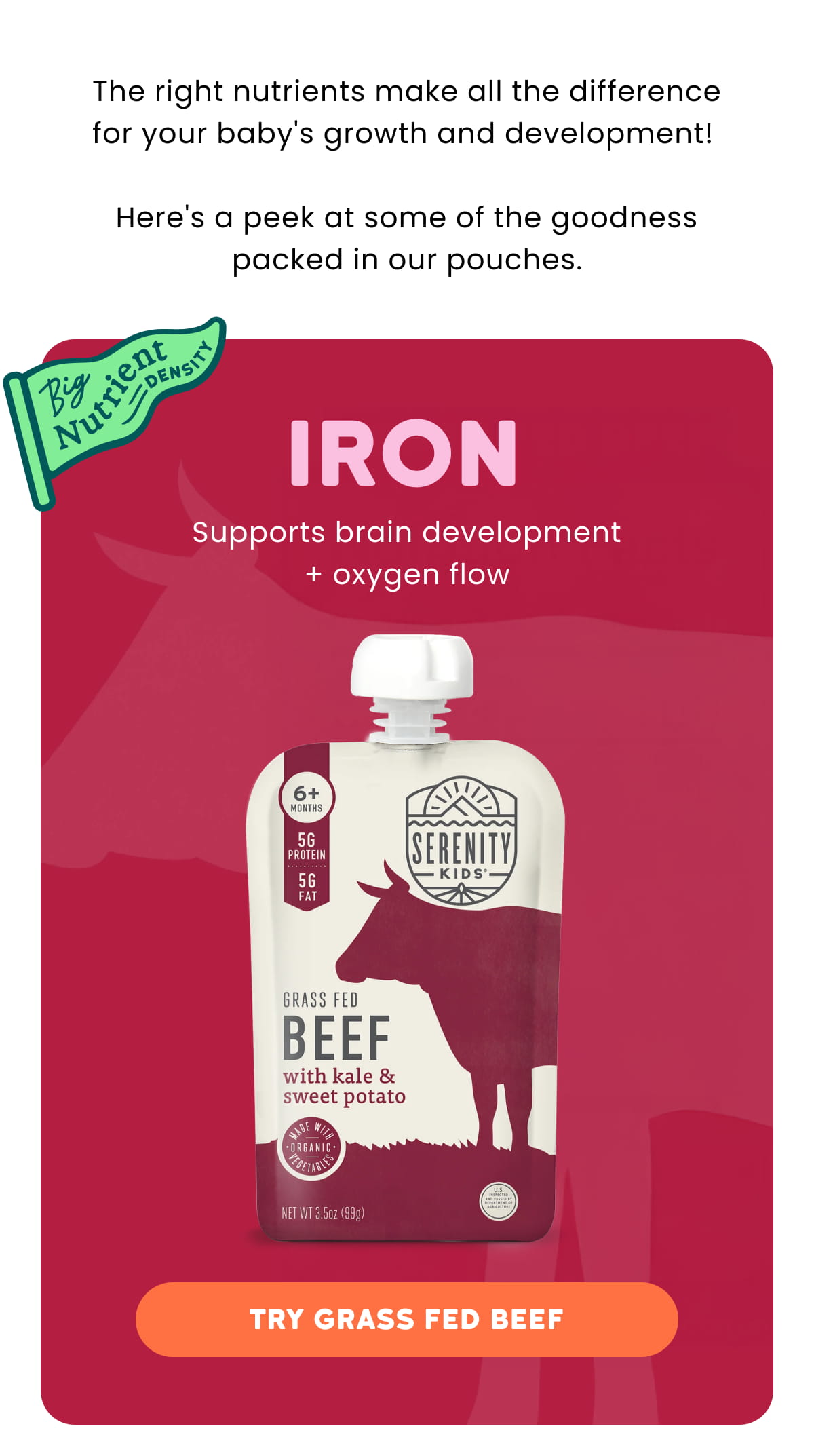 Grass Fed Beef