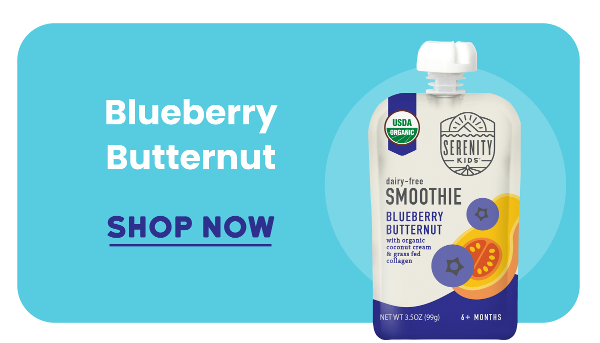 Organic Blueberry Butternut Dairy Free Smoothie with Grass Fed Collagen