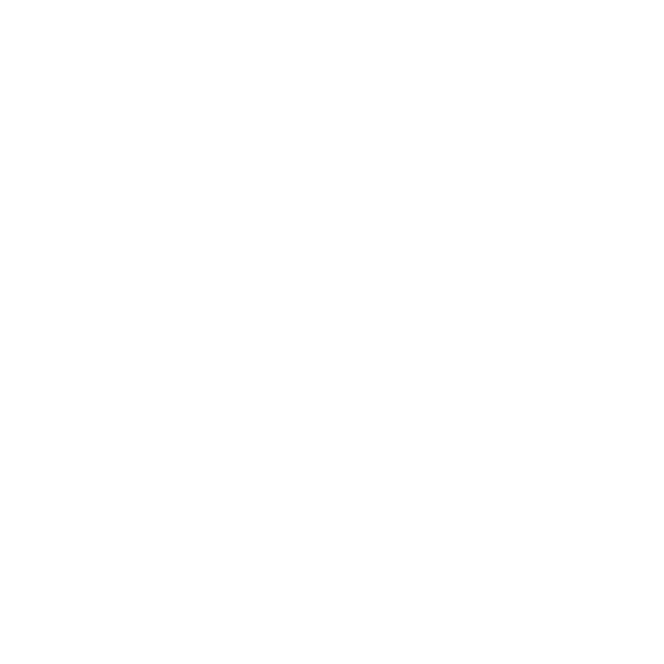 D.C. United Logo