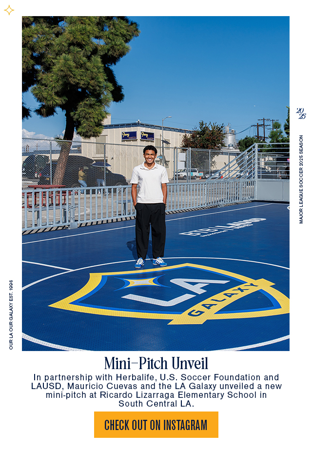Mini-Pitch unveil