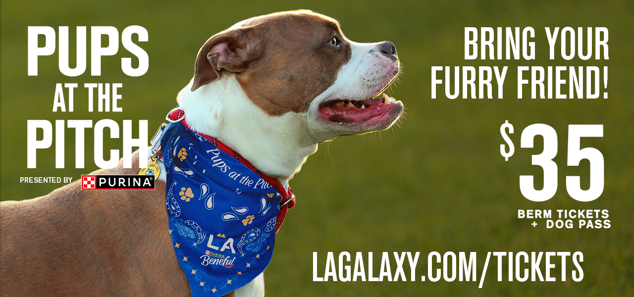 Pups at the Pitch Bring Your Furry Friend