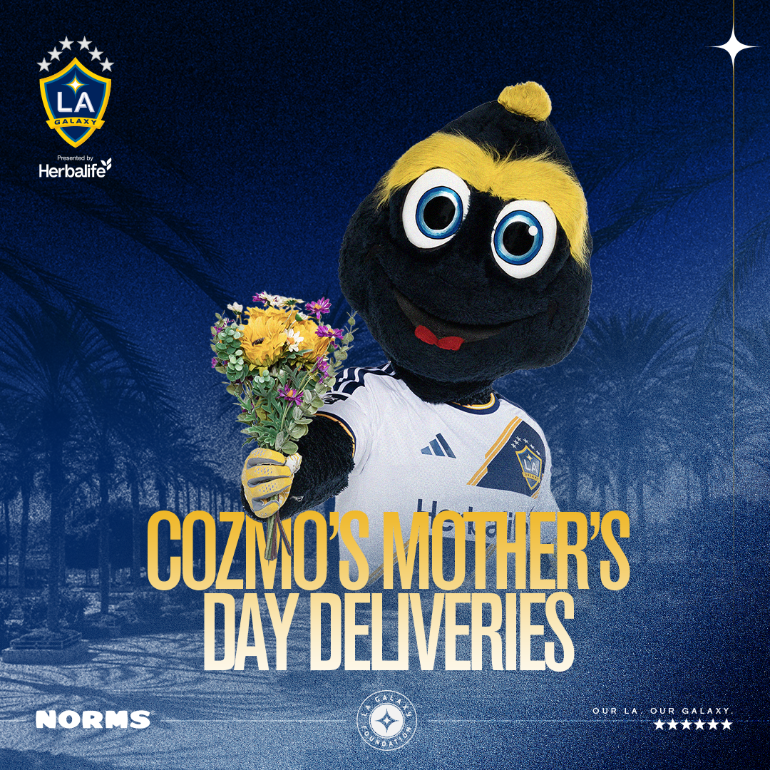 Cozmo's Mother's Day Deliveries