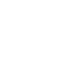 MAJOR LEAGUE SOCCER