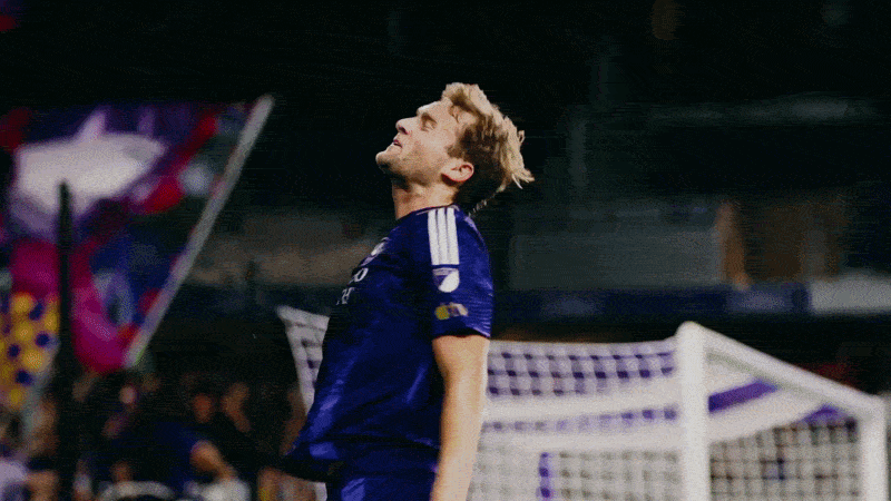 Sights & Sounds Gif