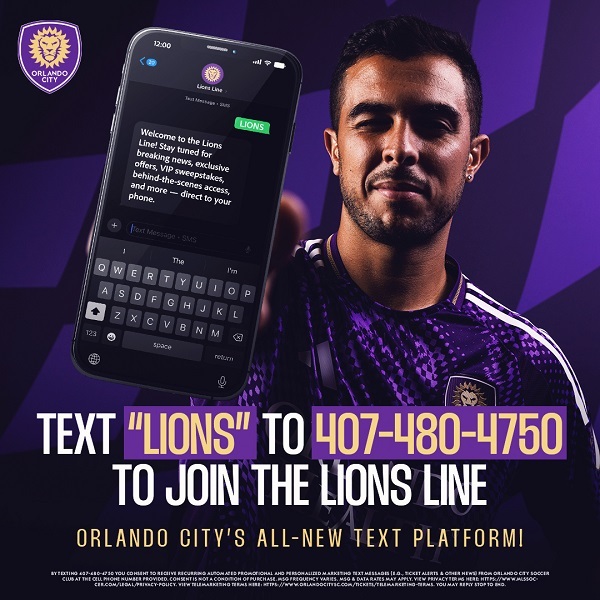 Lions Line Text Line