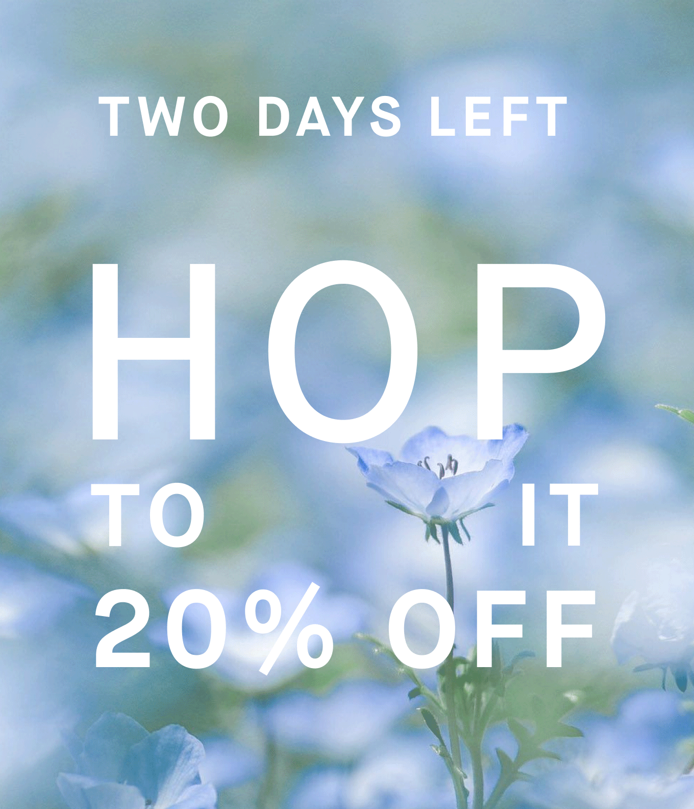 Two days left | Hop to it 20% OFF