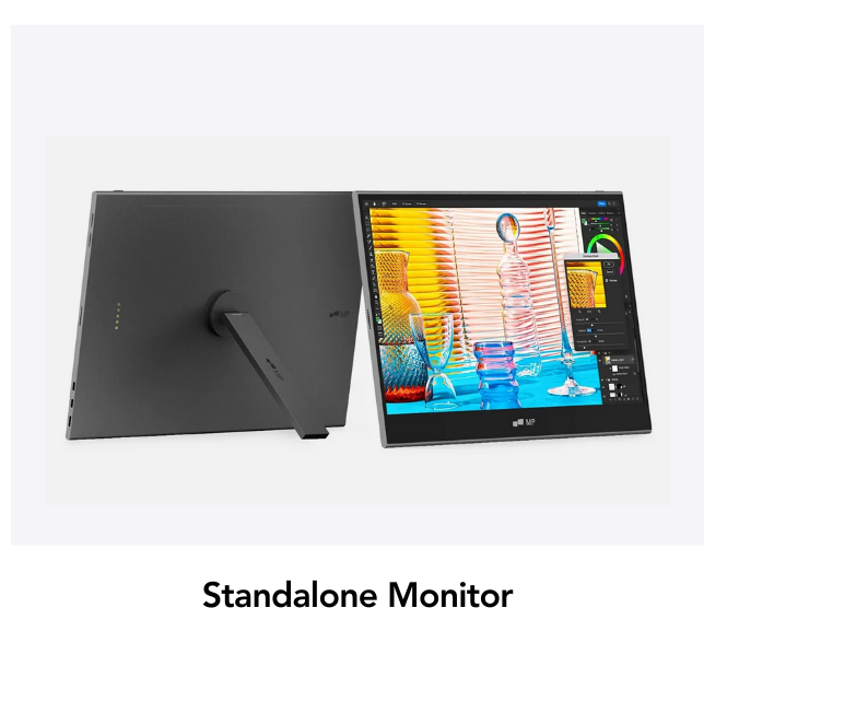 Standalone monitor