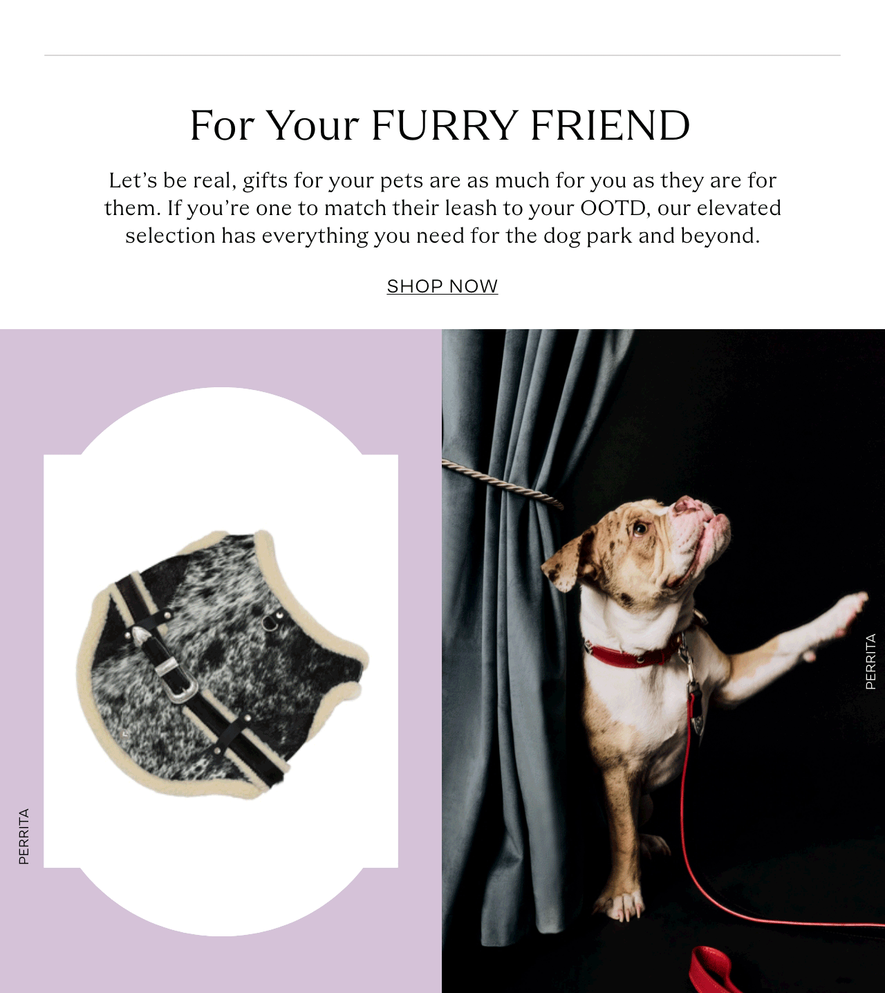 furryfriend