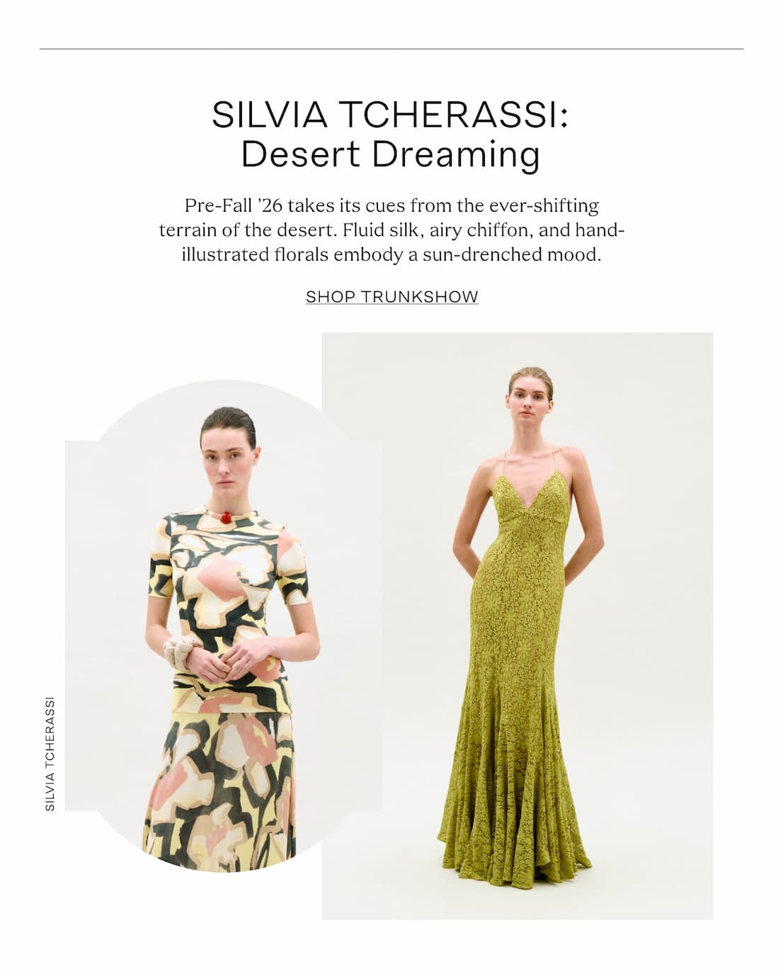 silviatcherassipf26