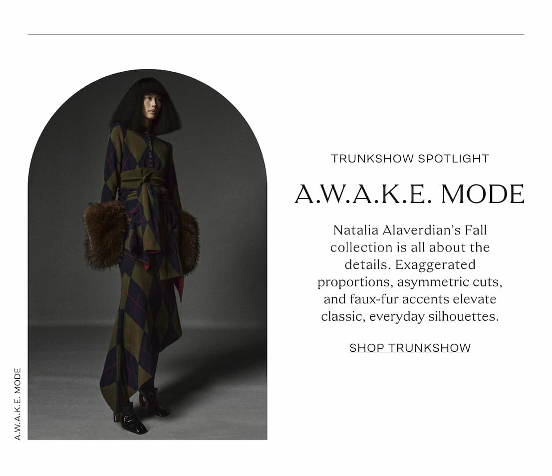 awakemodefw26_img