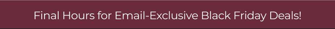 Final Hours for Email-Exclusive Black Friday Deals!