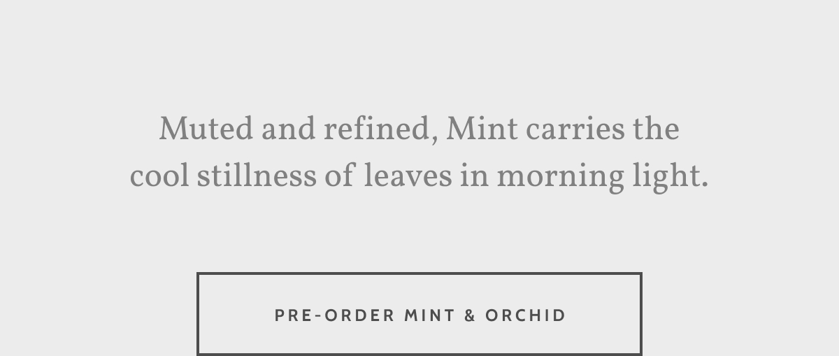 Muted and refined, Mint carries the cool stillness of leaves in morning light. Pre-order Mint & Orchid. 
