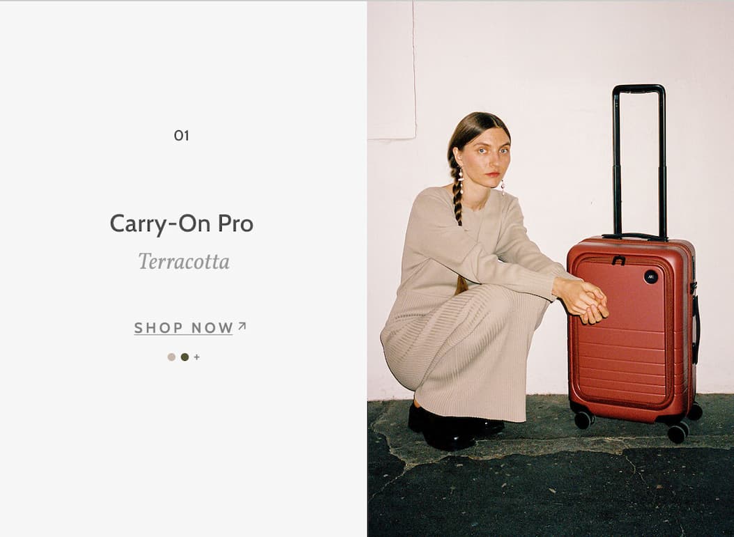01. Carry-On Pro. Terracotta. Shop now.