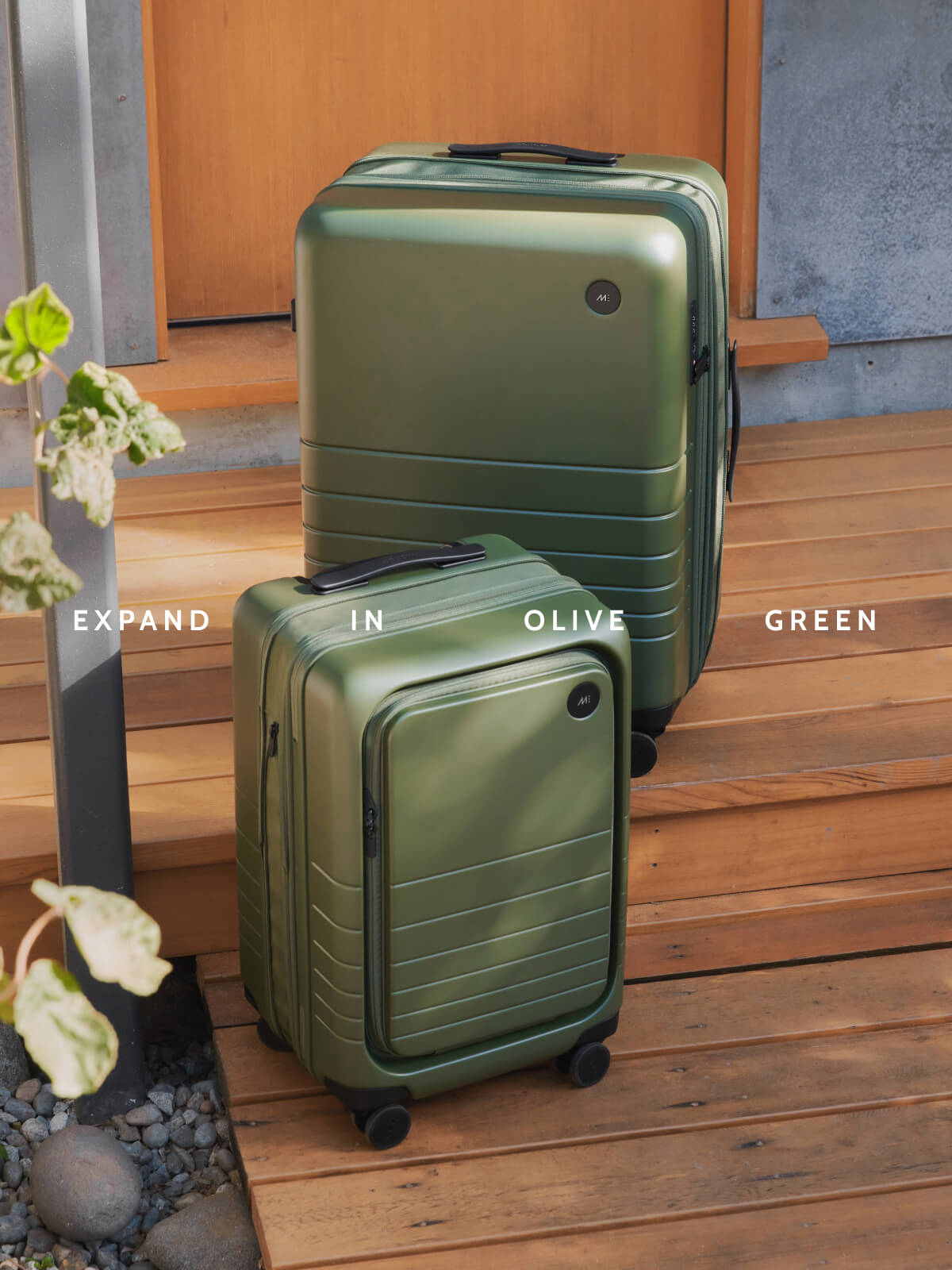 Expand in Olive Green.