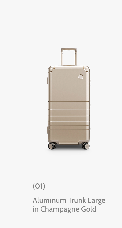 (01) Aluminum Trunk Large in Champagne Gold.