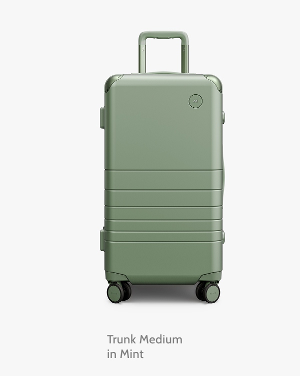 Trunk Medium in Mint.