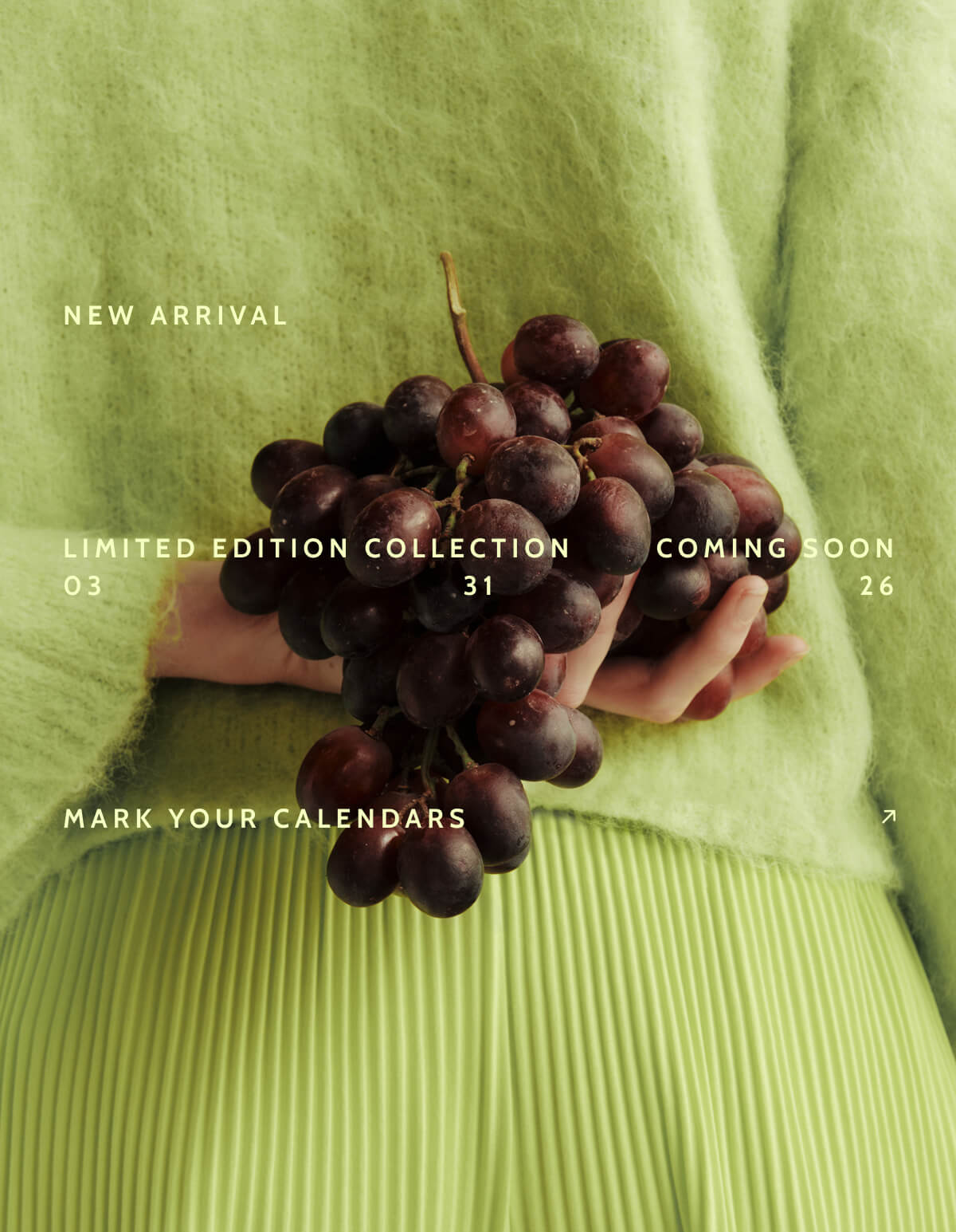 New Arrival. Limited Edition Collection. Coming soon. 03.31.26. Mark your Calendars.