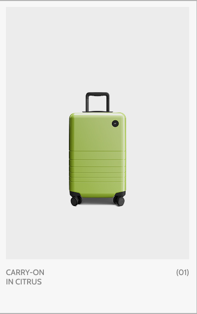 Carry-On in Citrus (01)
