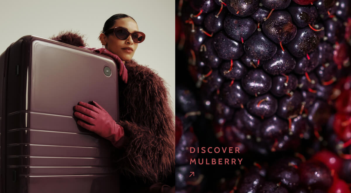 Discover Mulberry.