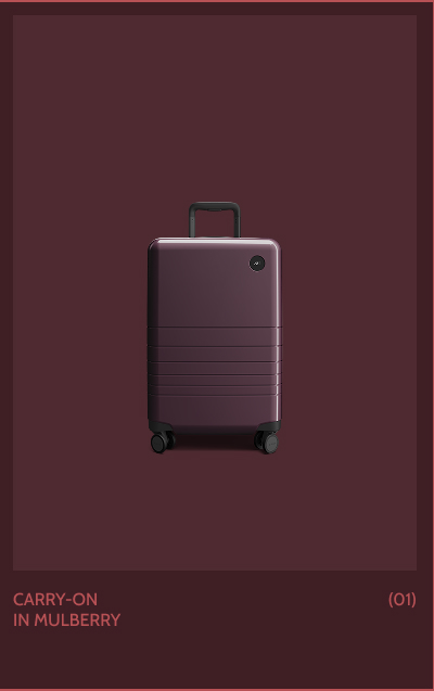 Carry-On in Mulberry (01)