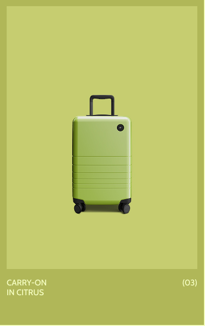 Carry-On in Citrus (03)