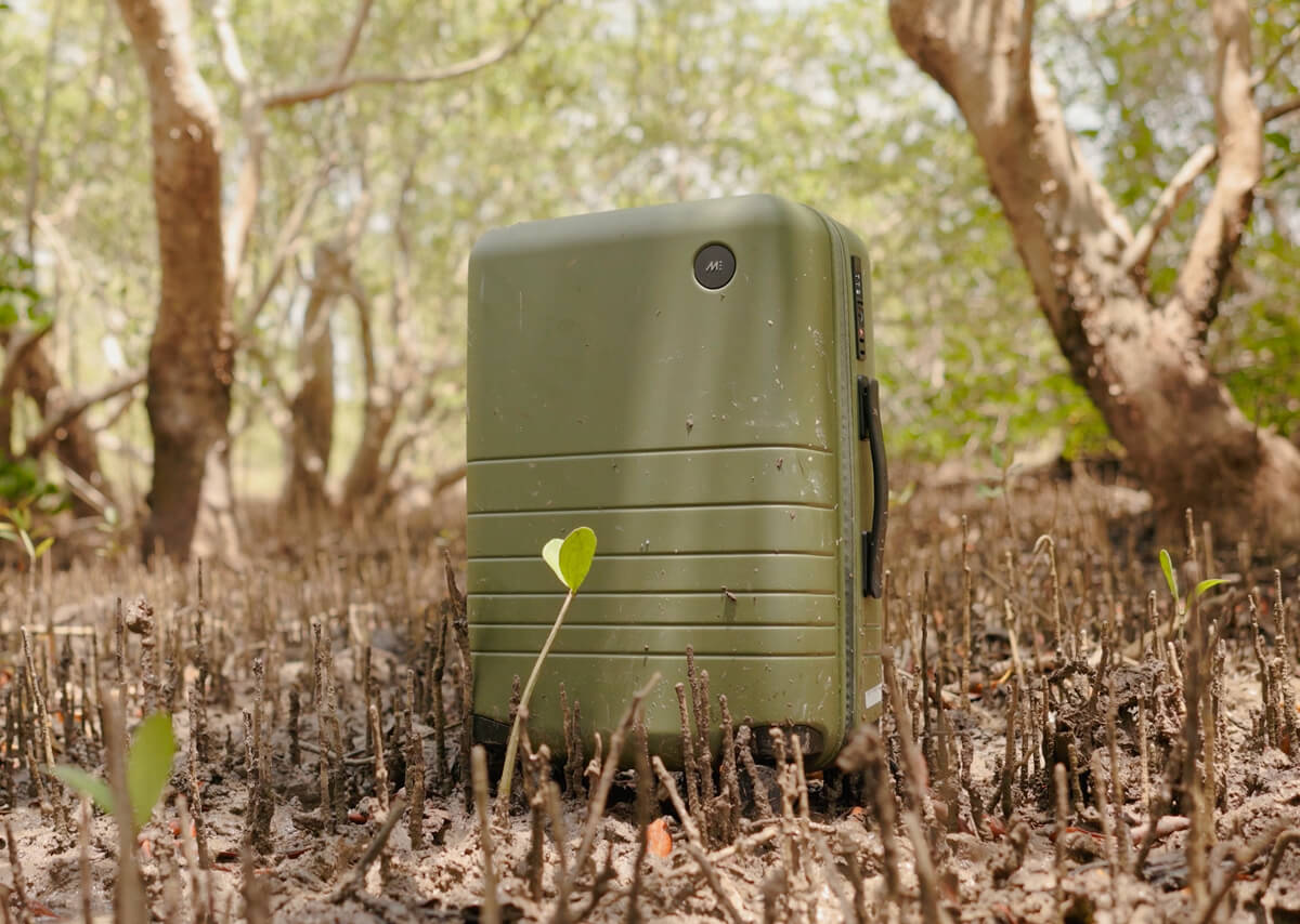 Carry-On in Olive Green.