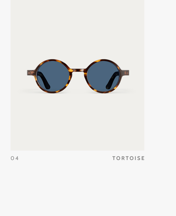 04. Tortoise.