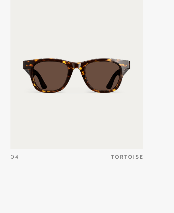 04. Tortoise.