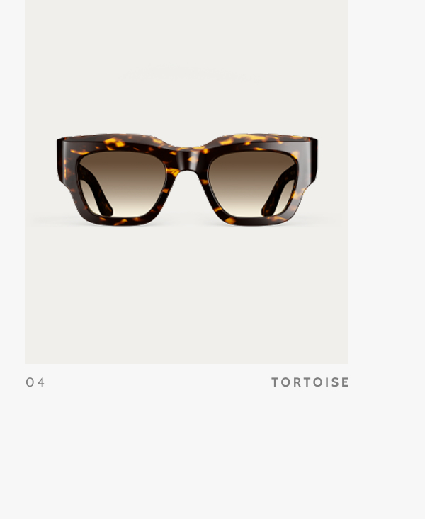 04. Tortoise.