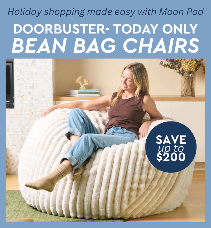 Doorbuster- Today Only Bean Bag Chairs