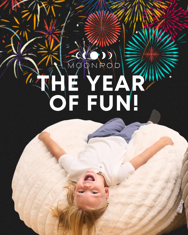 The Year Of Fun