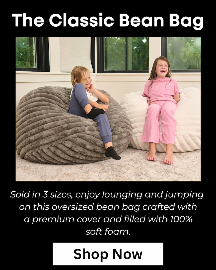 The Classic Bean Bag Chair