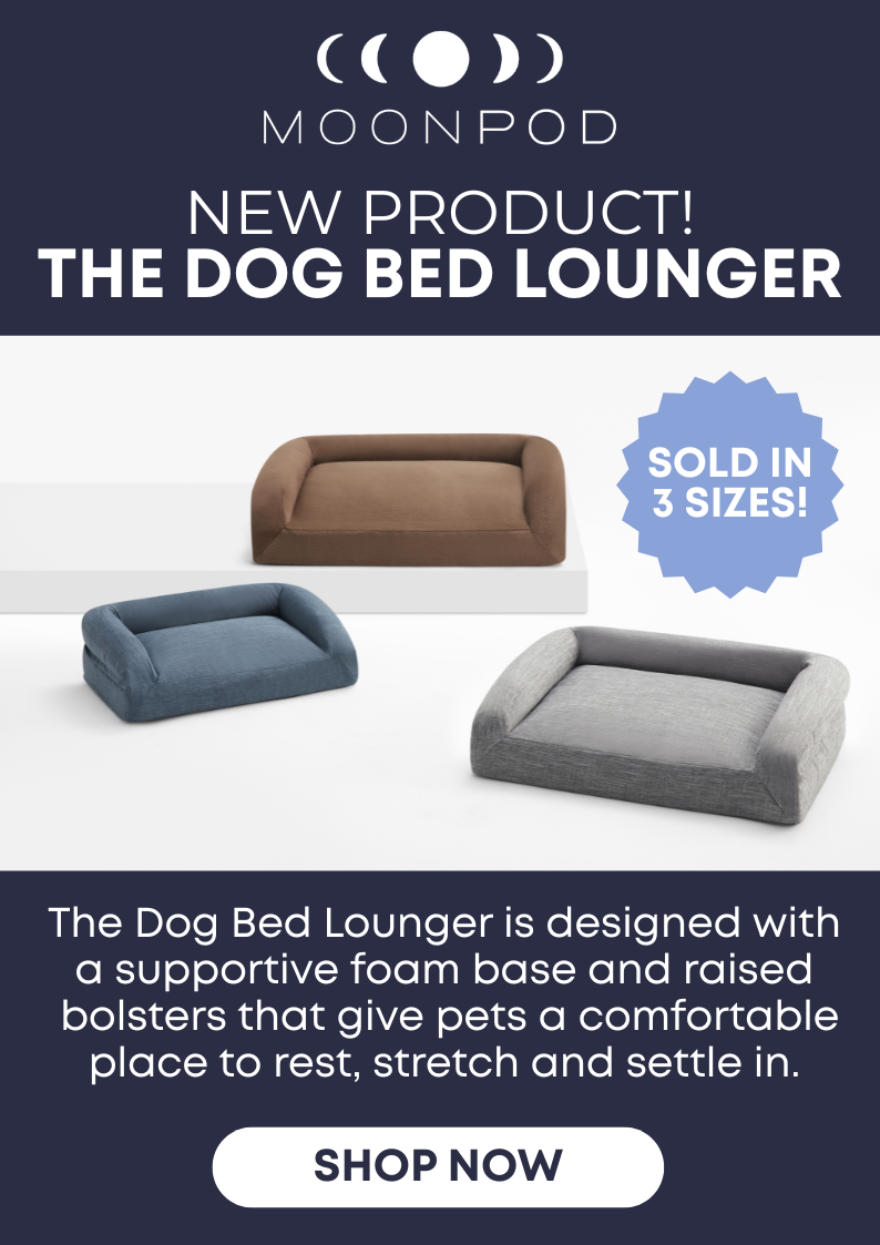 New Product! The Dog Bed Lounger