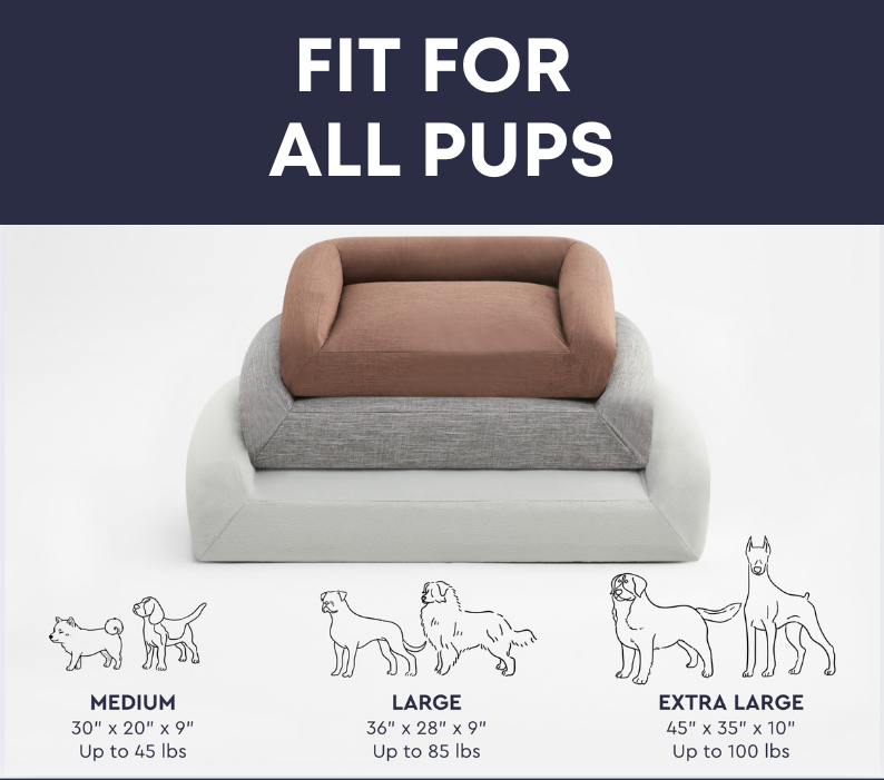 Fit For All Pups