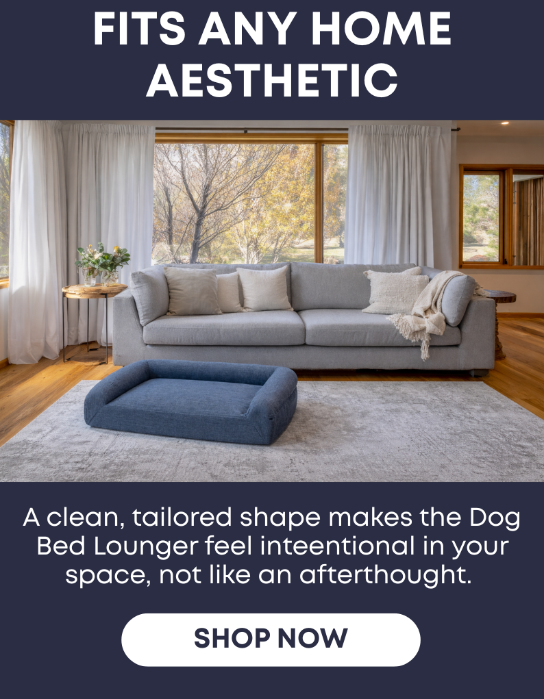 Fits Any Home Aesthetic