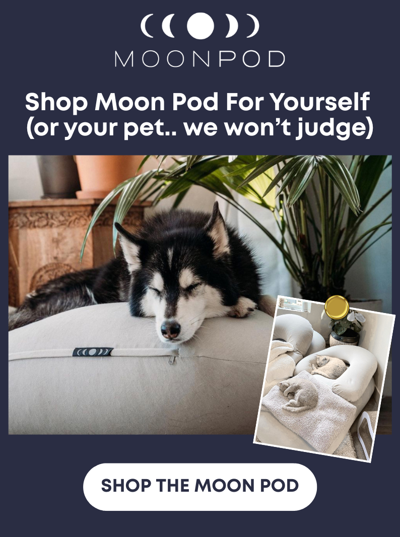 Shop Moon Pod For Yourself (or your pet.. we won't judge)
