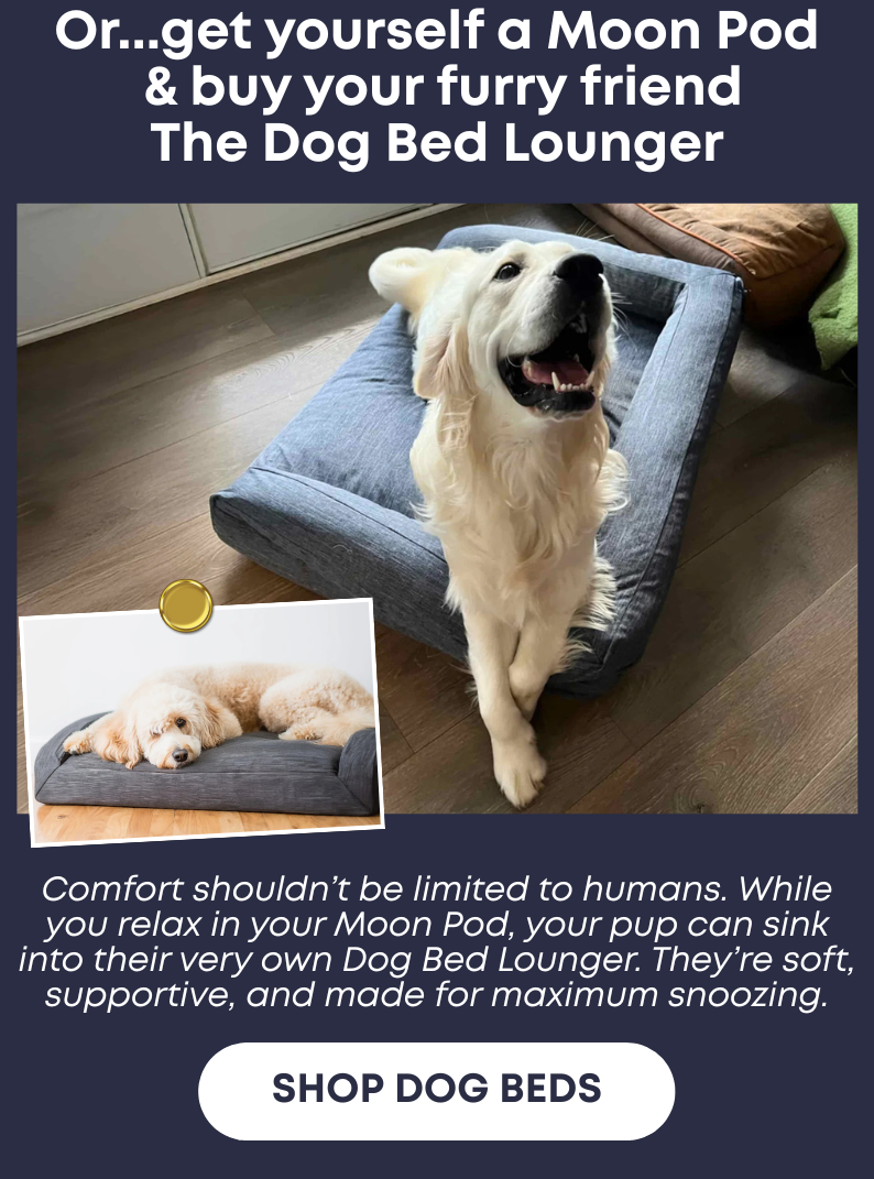 Or... get yourself a Moon Pod & buy your furry friend The Dog Bed Lounger