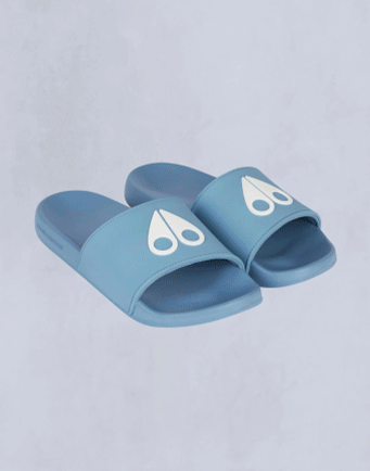 Slides