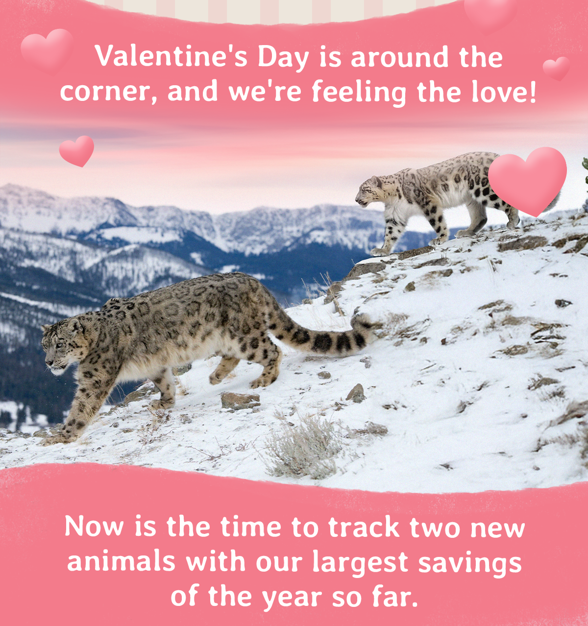 Valentine's Day is right around the corner!