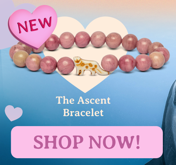 Ascent Bracelet