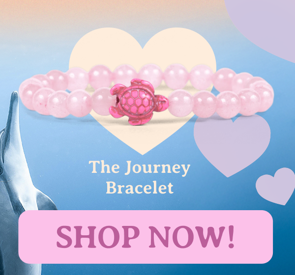 Journey Bracelet