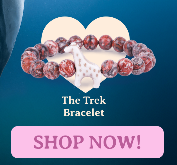 Trek Bracelet
