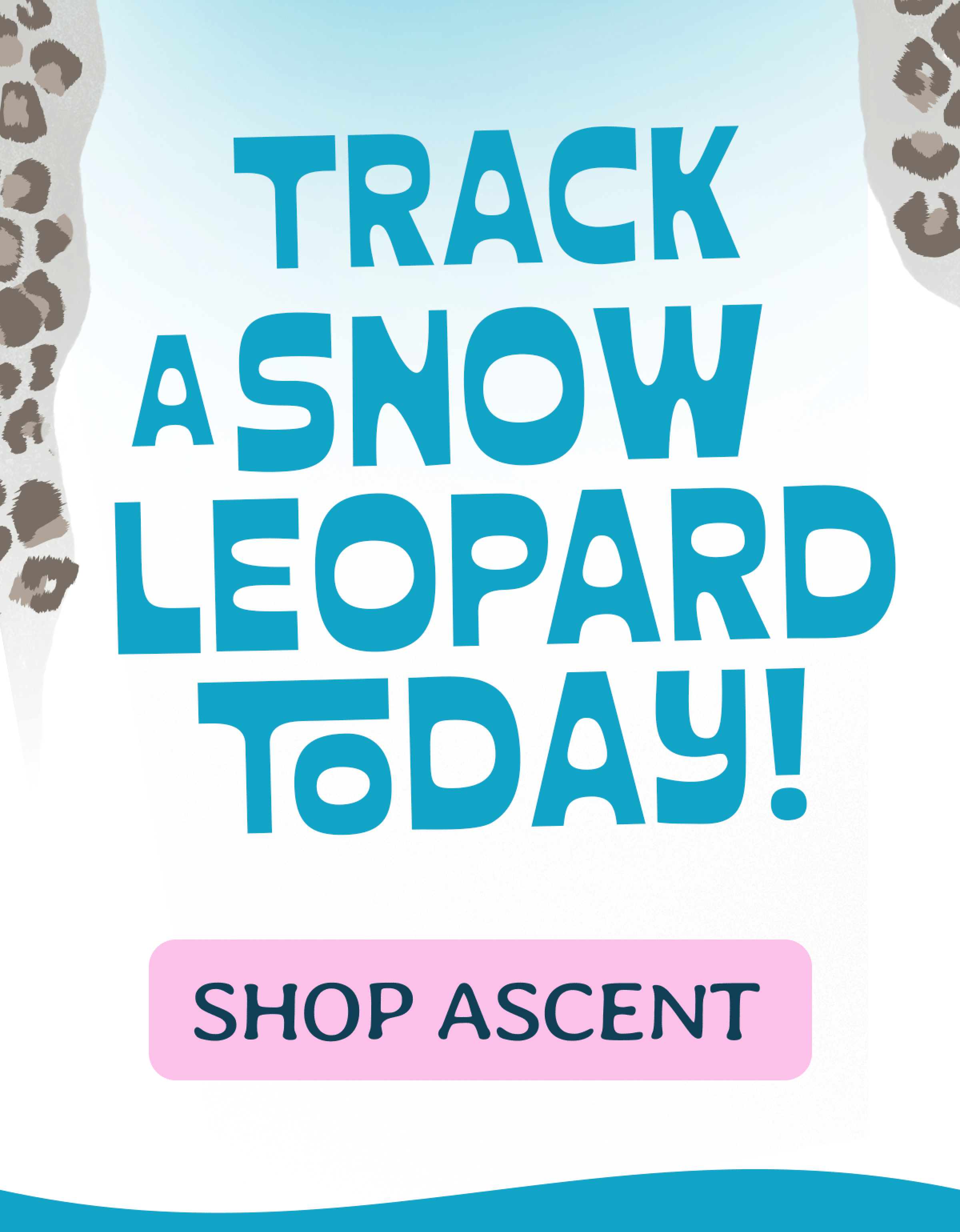 Shop Ascent and track today!