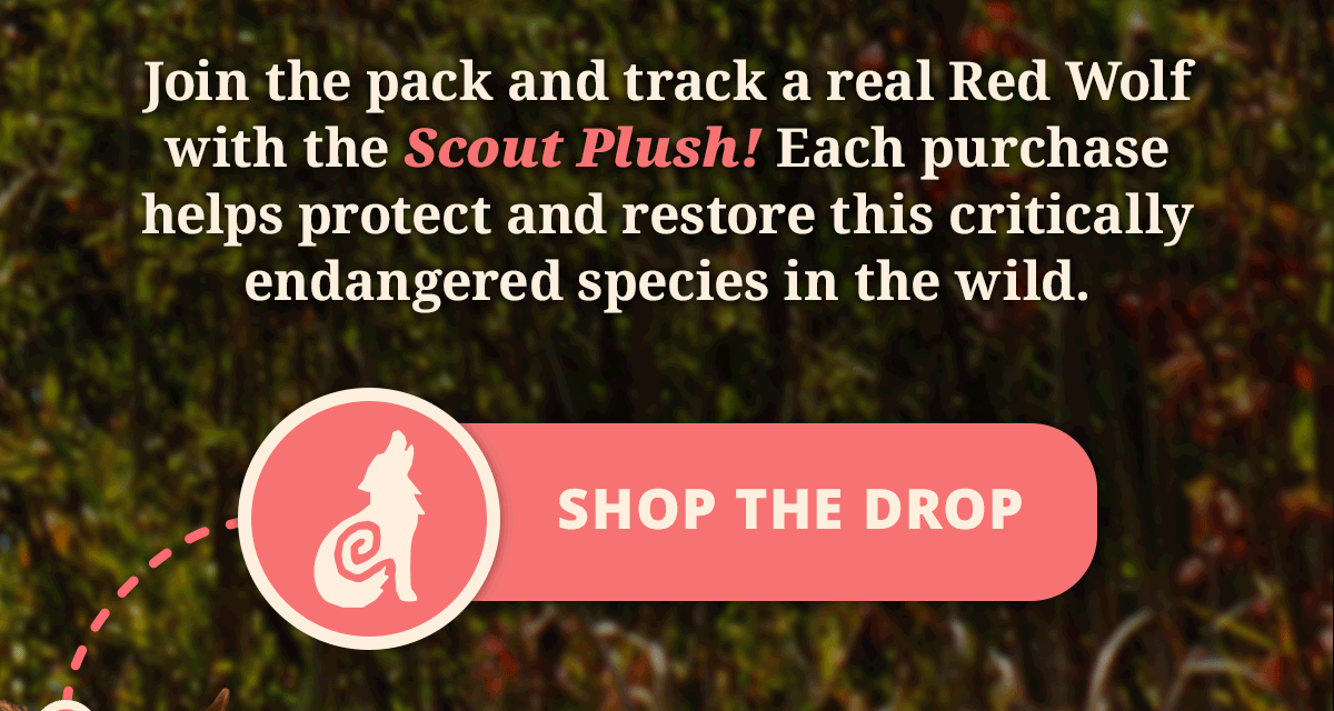 Shop the drop!