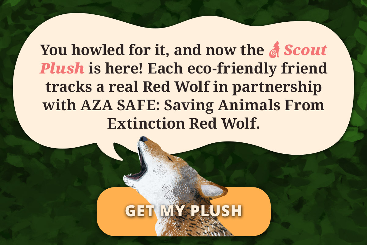 Get my plush!
