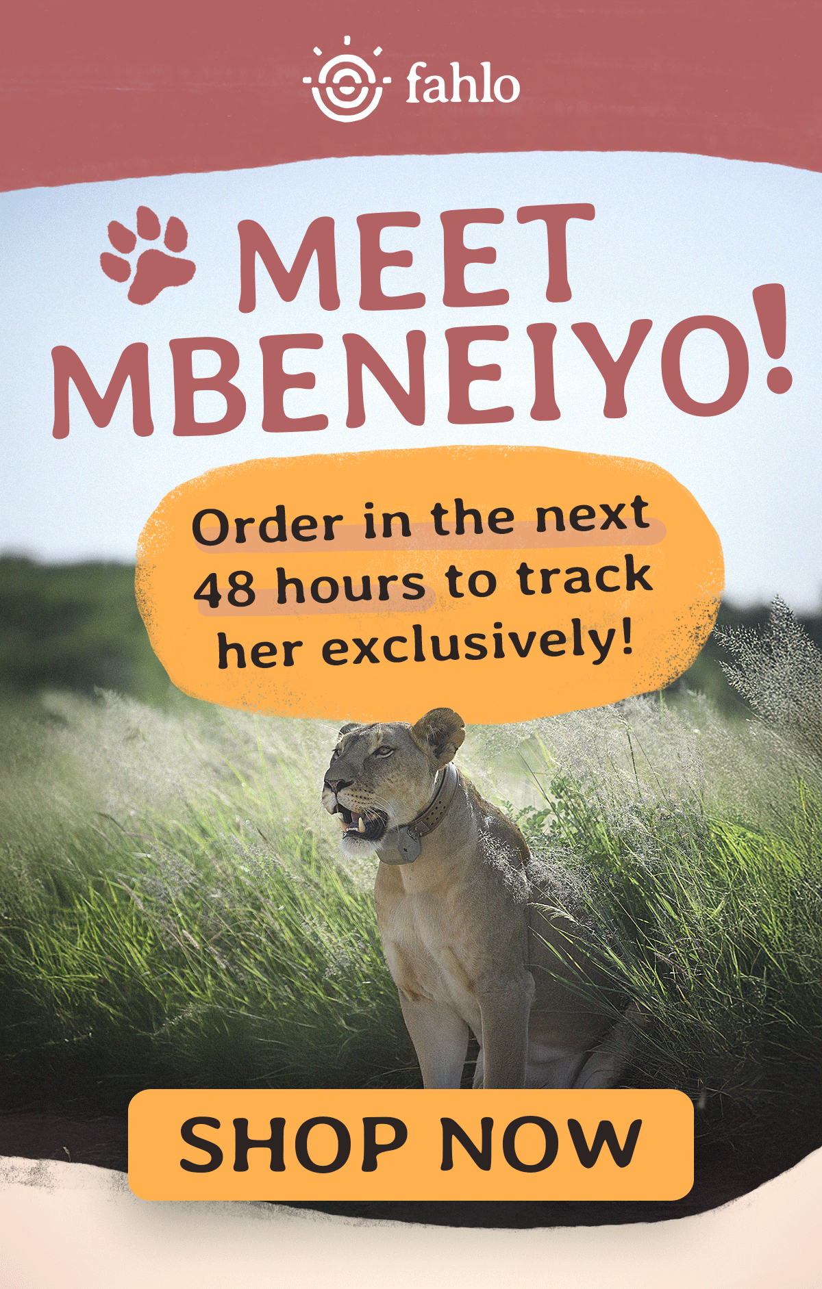 Meet MBENEIYO!
