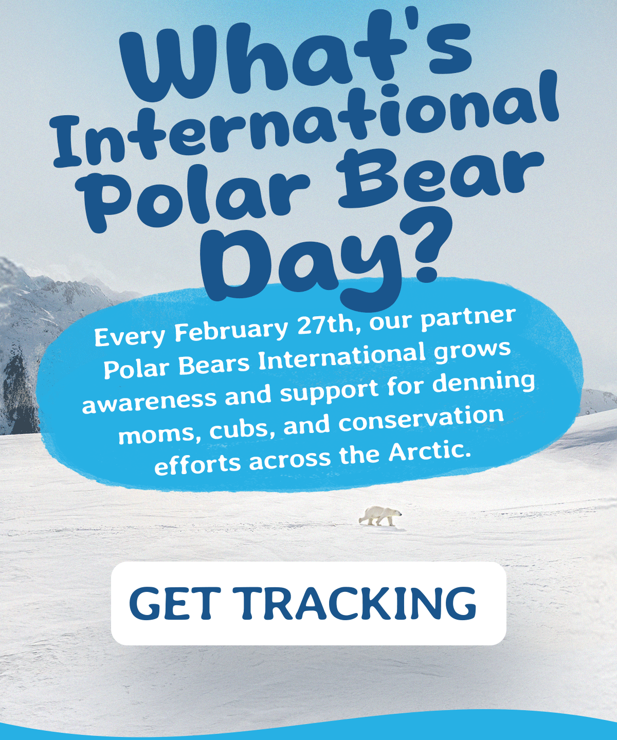 What's International Polar Bear Day?