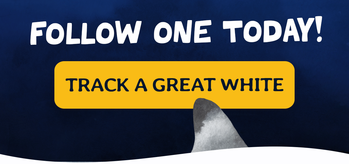 Follow one today!