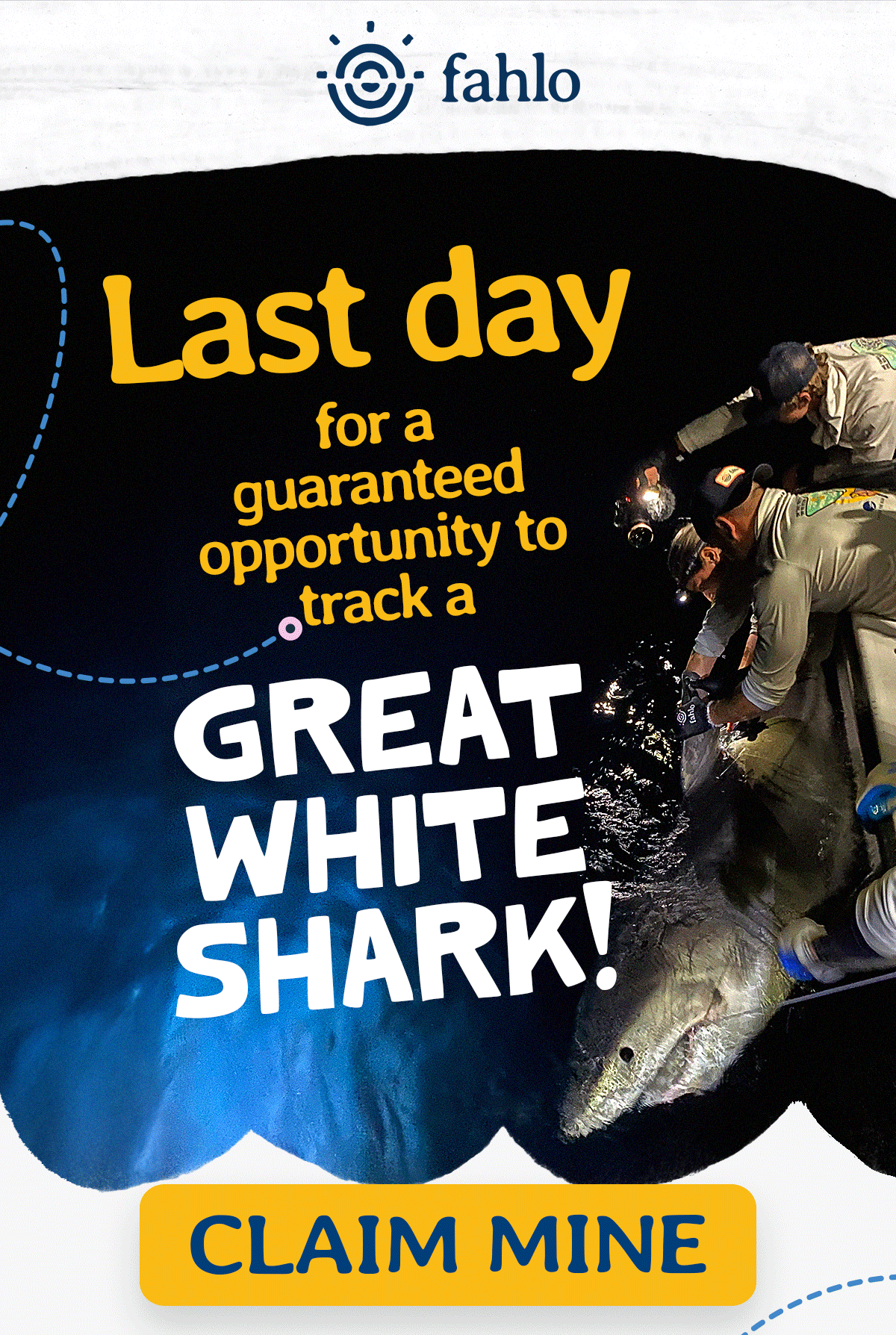 Last day for a guaranteed Great White!