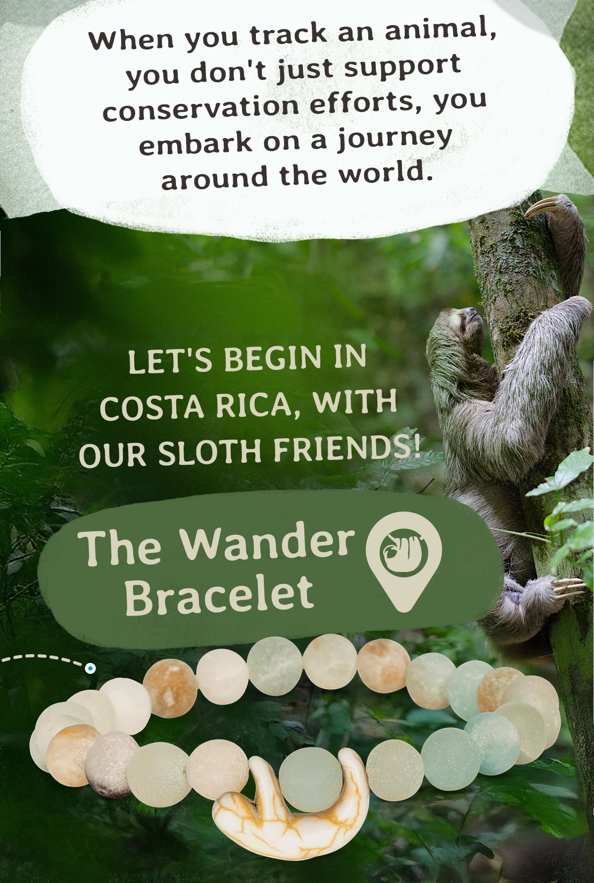 Track a sloth in Costa Rica!